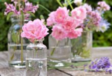 Aromaterapia-olejki-eteryczne