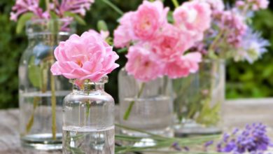 Aromaterapia-olejki-eteryczne