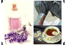 Domowe sposoby na ból głowy